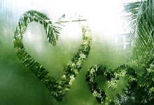 90分和即时比分滚球二合一有何区别与特点？